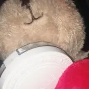 たろう