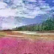 mfy.stの画像