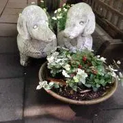 きなこ※値下げ希望は希望価格を