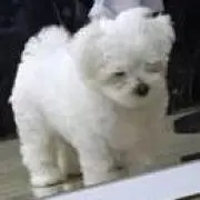 あよの画像