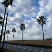 こてぃの画像