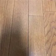 ゆの画像