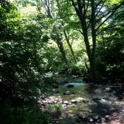 ももたろ