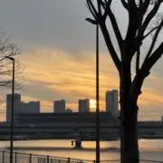 悠月の画像