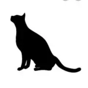 ◎ねねこねこ◎