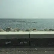 kokoroの画像