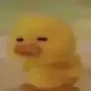 Nの画像
