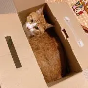 ひさえ