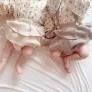 もめの画像