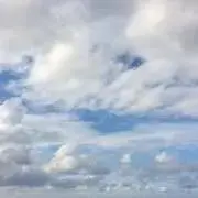 Ⓜ︎ちゃんの画像