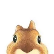 りま