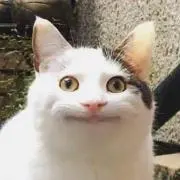 やわらか