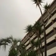 ミリバニ