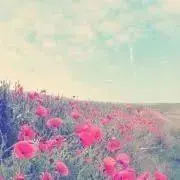 mの画像