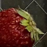 めちの画像