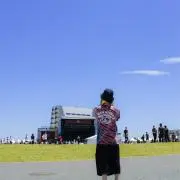 だきい(まとめ売り歓迎)の画像
