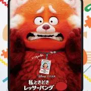 ふぉいの画像