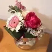 machachaの画像