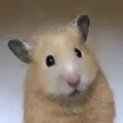 炭酸水
