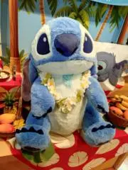 せーの画像