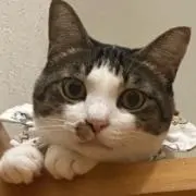 みゆの画像