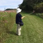カッコ44の画像