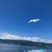 まみなの画像