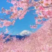 との画像