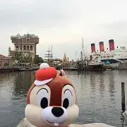 みーさんの画像