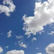 ★cocoaSHOPの画像