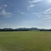 アオヒゲの画像