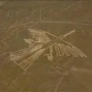 808の画像