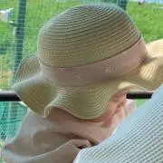 Sの画像