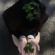 いちごの画像