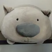 ぴんぴん☺️の画像