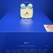 カボチャ