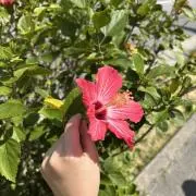 amuo❁⃘プロフもご覧ください☺︎の画像