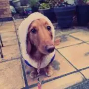 CHRIS KING R45 ブラックハブセット 定価15万円以上 - メルカリ