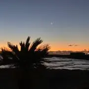 たにの画像