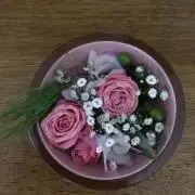 ☆nepi☆の画像