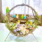 にゃんこの画像