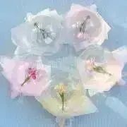 ❁❀✿ꕤ︎︎·͜· ︎︎の画像