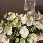 みっち