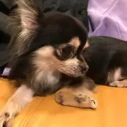 MIKI  MAMA♡