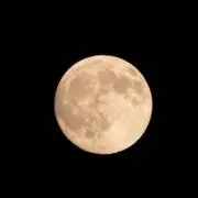 和三盆の画像