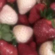 ♪の画像