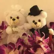 n.nの画像