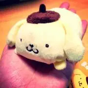 きゃもの画像