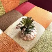 colo