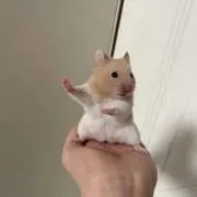 ゆなの画像